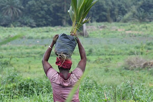 A woman carrying a palm plant supported on her head