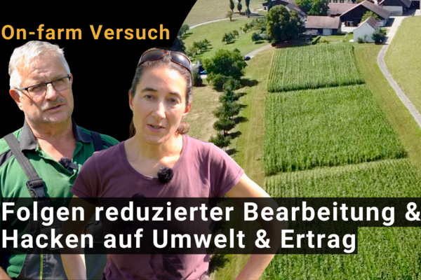 Biobauer Andreas Leimgruber und FiBL Forscherin Meike Grosse, im Hintergrund drei angepflanzte Versuchtsfelder