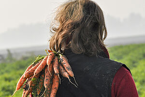 Back of the head of a woman carrying a bunch of carrots