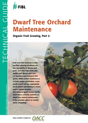 Dwarf Tree Orchard Maintenance