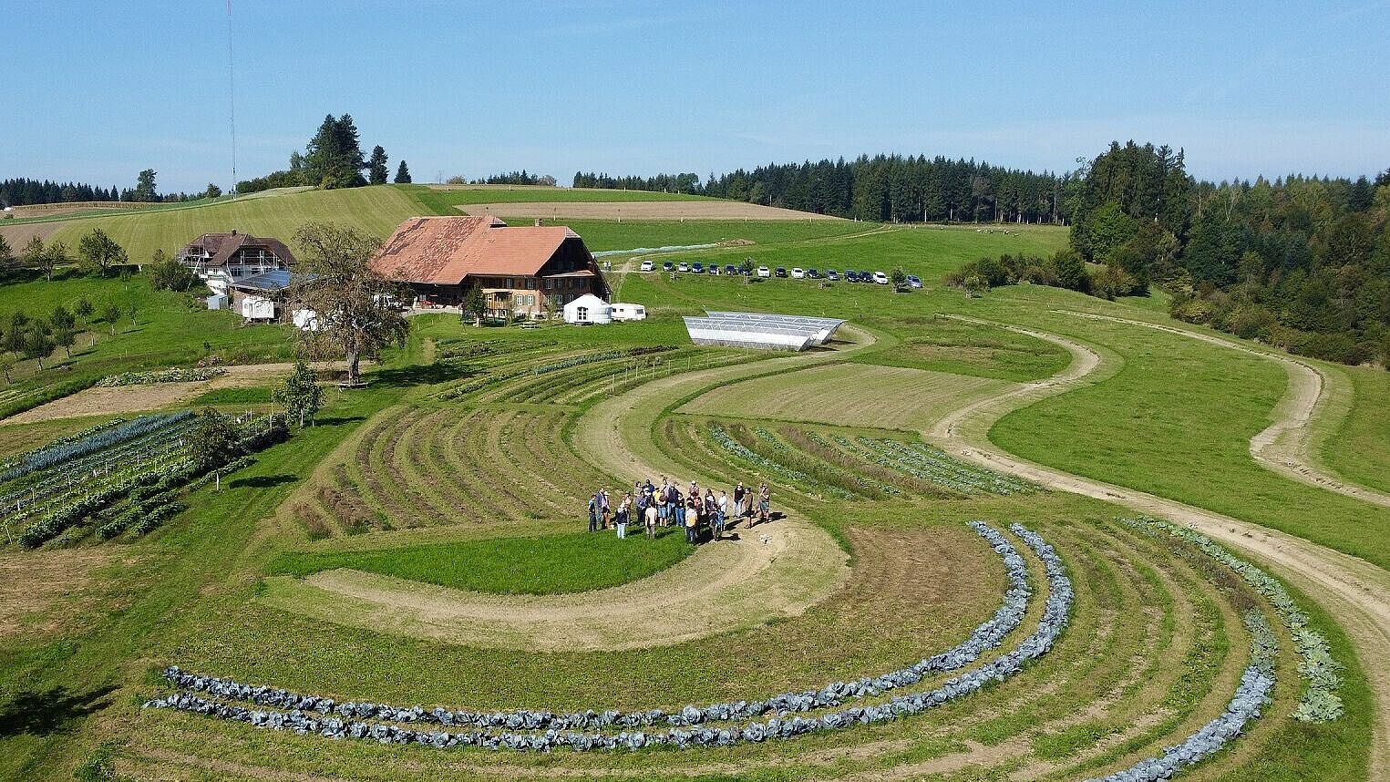 A drone shot of a farm with a keyline design, with a group of people in the centre.