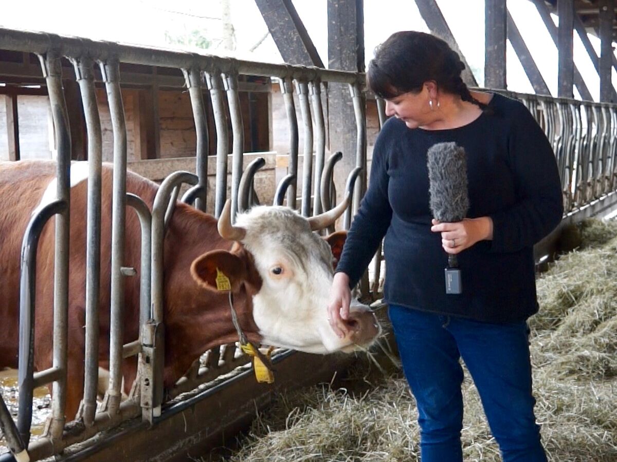 FiBL Video Verbesserung Der Gesundheit Und Des Wohlbefindens