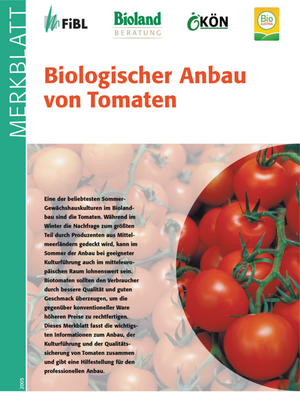 Biologischer Anbau von Tomaten