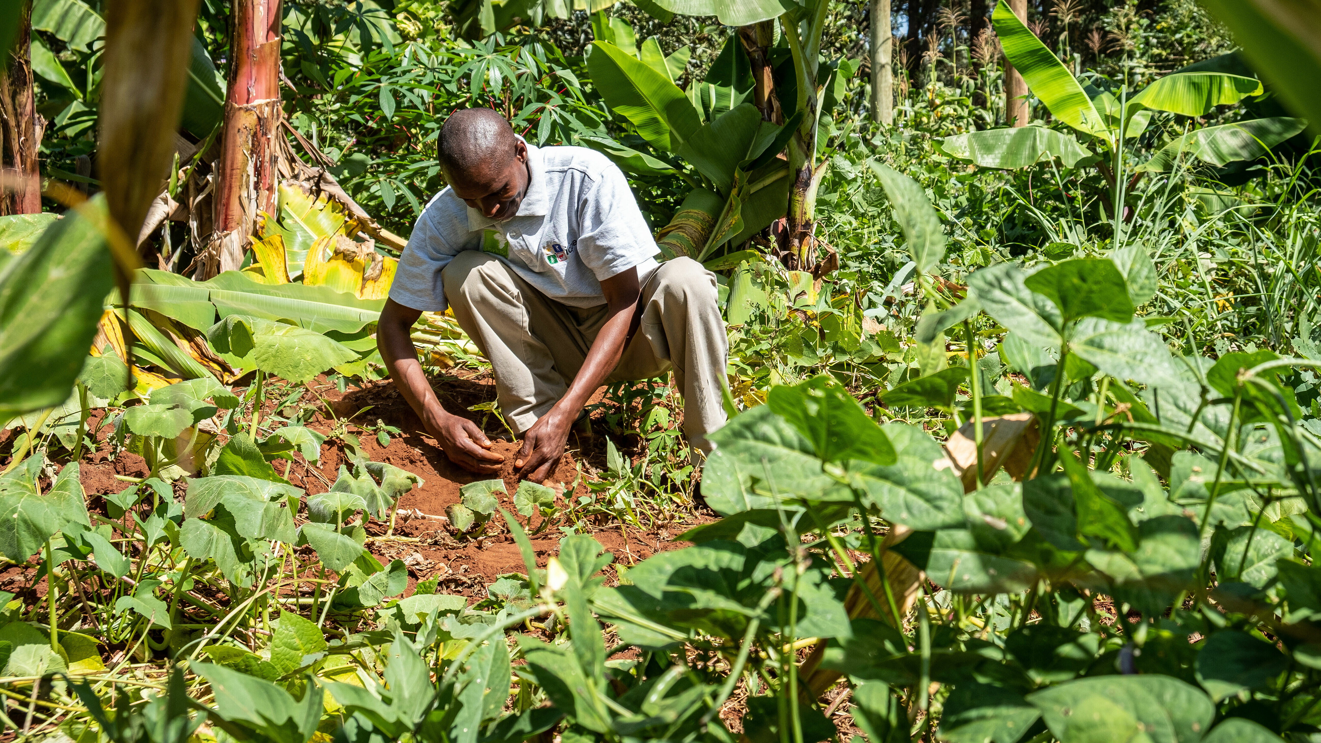 A dark-skinned man is kneeling on the floor and working on the soil. He is surrounded by the vibrant green of a rainforest.