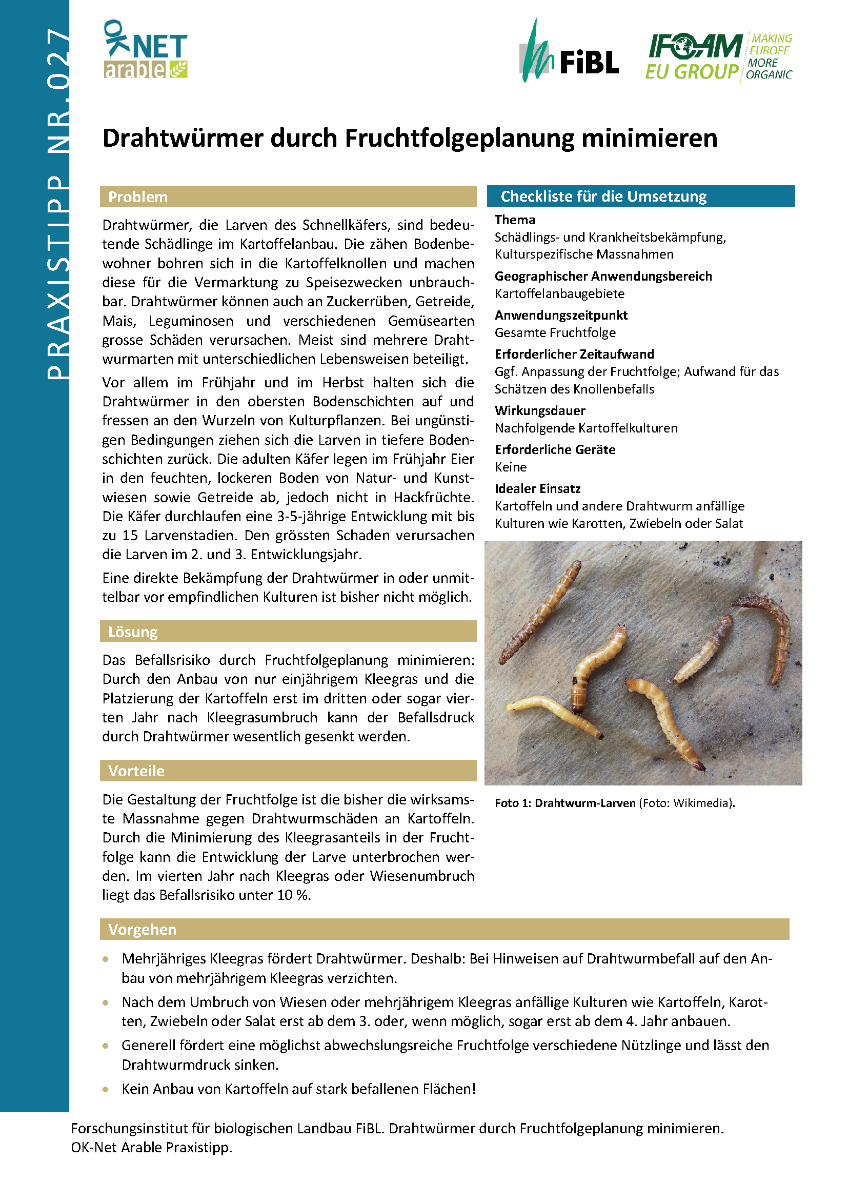 Cover: Drahtwürmer durch Fruchtfolgeplanung minimieren