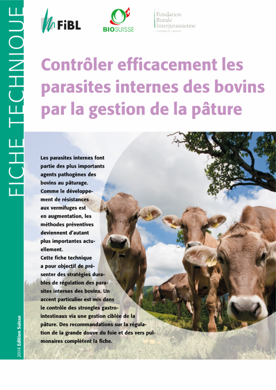 Cover: Contrôler efficacement les parasites internes des bovins par la gestion de la pâture