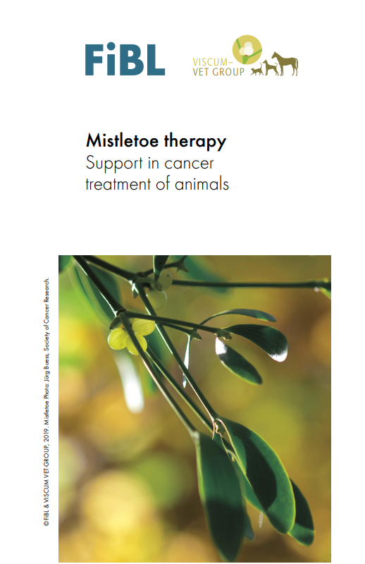Cover: Mistletoe therapy