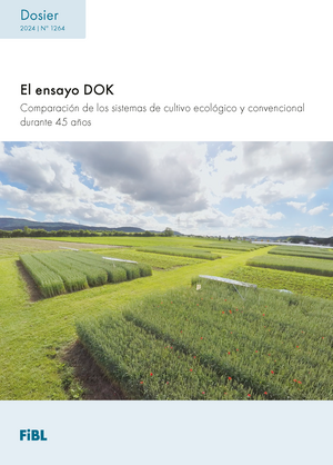 El ensayo DOK