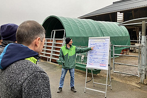 Person präsentiert Notizen auf einem White Board, welches vor dem Kälberstall steht.