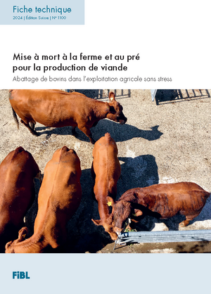 Mise à mort à la ferme et au pré pour la production de viande