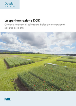 La sperimentazione DOK