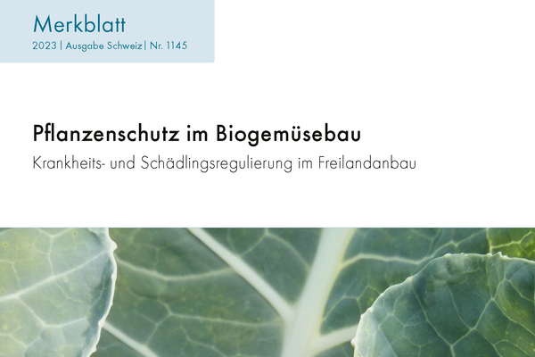 Cover: Pflanzenschutz im Biogemüsebau