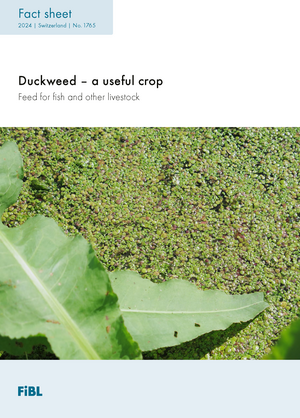 Duckweed – a useful crop