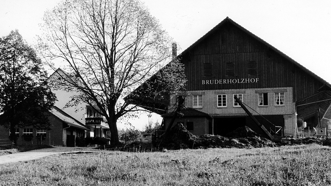 Bruderholzhof a Oberwil nel 1973