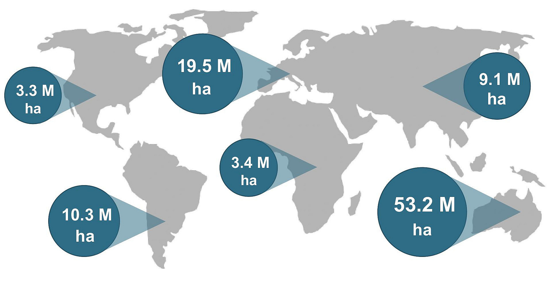 Infographic on organic agriculture worldwide 2023.