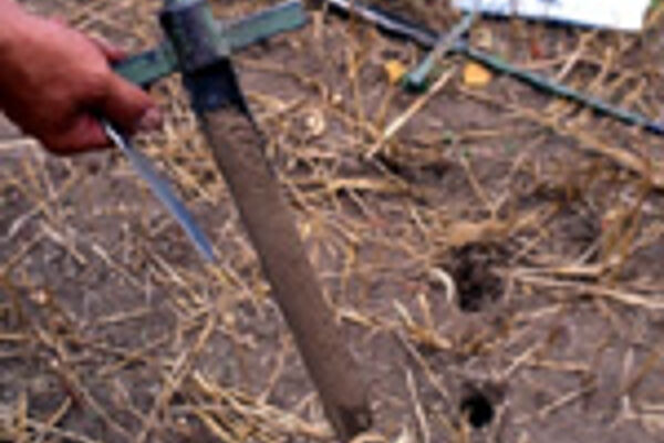 Bohrstock mit Bodenprobe für Humusuntersuchungen