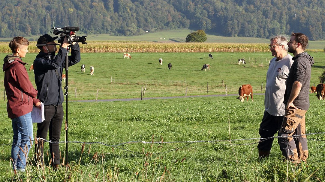 Zwei Personen mit Kamera, die zwei andere Personen auf einer Weide mit Kühen filmen.