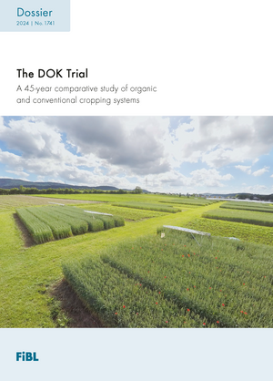 The DOK Trial