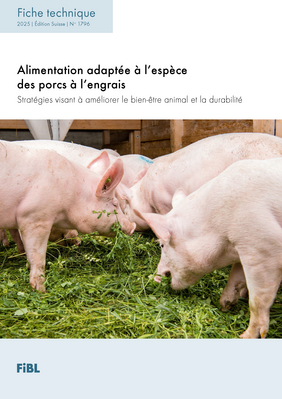 Alimentation adaptée à l’espèce des porcs à l’engrais.