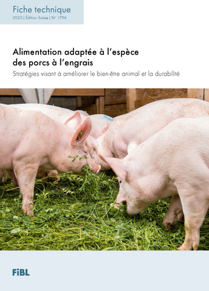 Alimentation adaptée à l’espèce des porcs à l’engrais