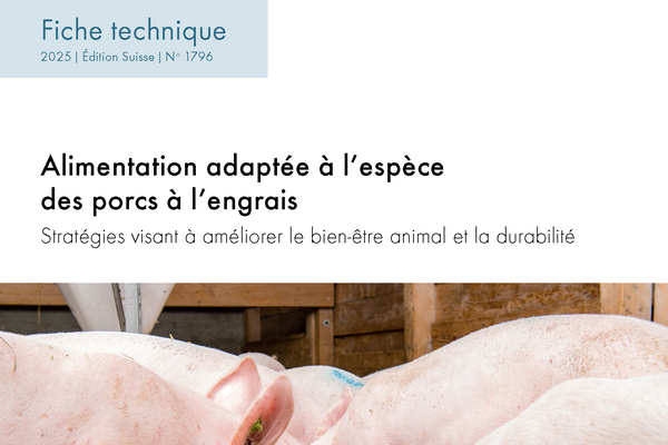 Cover: Alimentation adaptée à l’espèce des porcs à l’engrais.