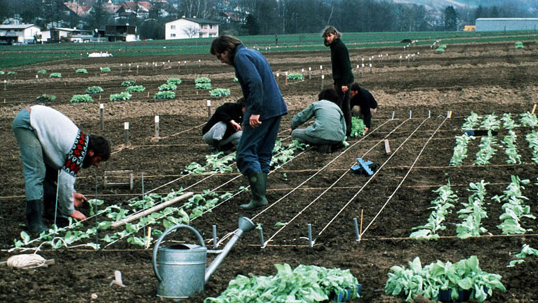 Ricercatori nel campo