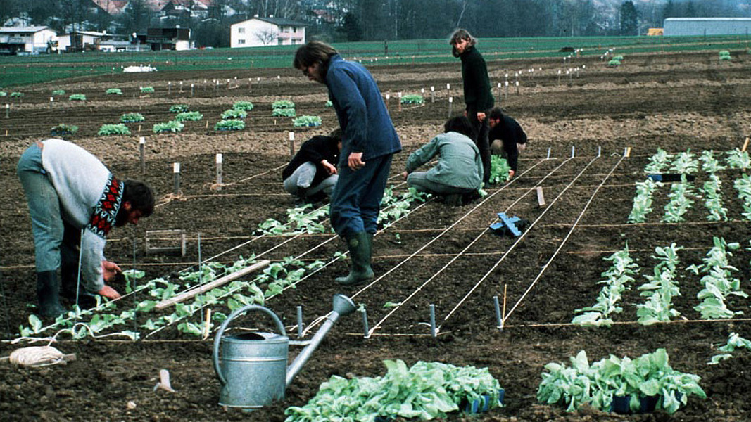 Chercheurs sur le terrain