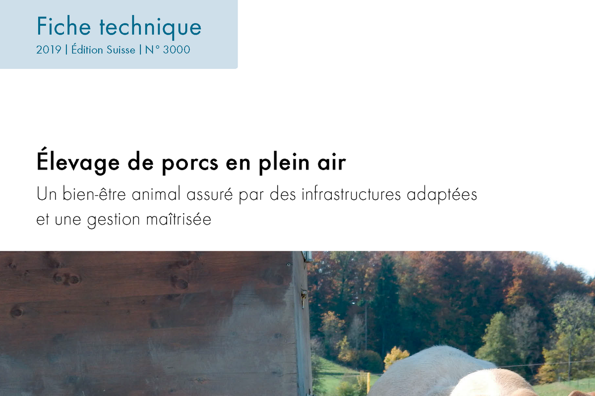 Fibl Nouvelle Fiche Technique élevage De Porcs En Plein Air 