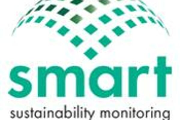 Logo "smart"