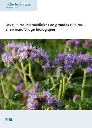 Les cultures intermédiaires en grandes cultures et en maraîchage biologiques