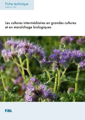 Les cultures intermédiaires en grandes cultures et en maraîchage biologiques