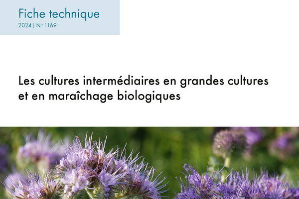 Cover: Les cultures intermédiaires en grandes cultures et en maraîchage biologiques.