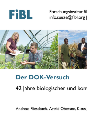 Der DOK-Versuch