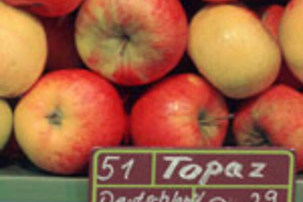 Äpfel der Sorte Topaz