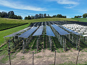 Über drei Reihen Niederstamm-Apfelbäumen sind dachartig Solarmodule in Reihen angeordnet. Die Anlage steht in einer grünen, hügeligen Landschaft und das Wetter ist sehr schön.