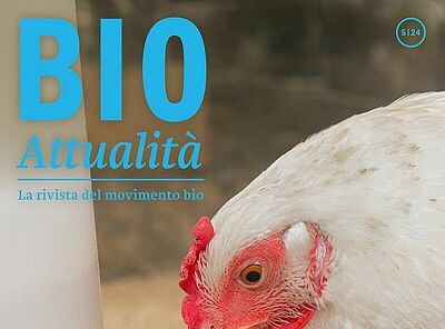 Cover Bioattualità 5/24.