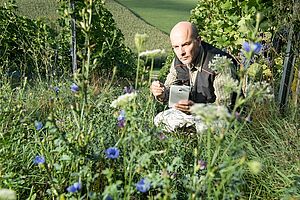 A man squatting in a meadow.