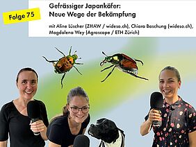 Drei Frauen mit Mikrofonen, dazu ein Hund und zwei Japankäfer.