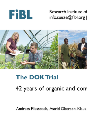 The DOK Trial