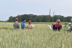 Im Vordergrund der grüne Mahlweizen, im Hintergrund einige diskutierende Personen die aus dem Feld hervorragen