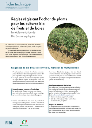 Règles régissant l’achat de plants pour les cultures bio de fruits et de baies