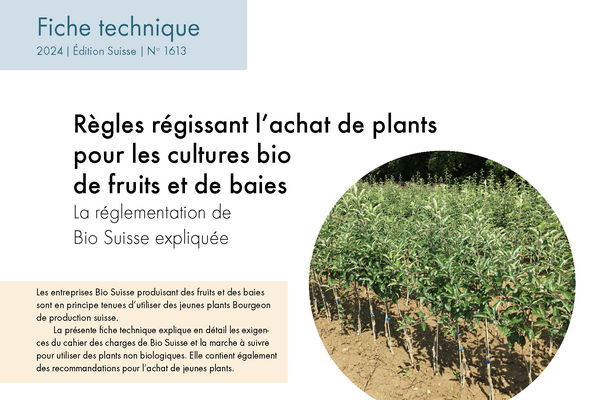 Cover: Règles régissant l’achat de plants pour les cultures bio de fruits et de baies