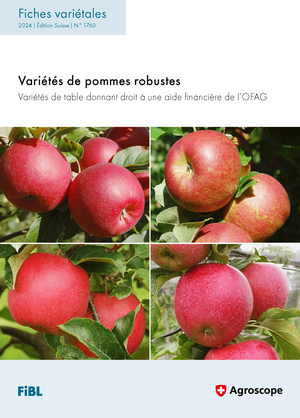 Variétés de pommes robustes