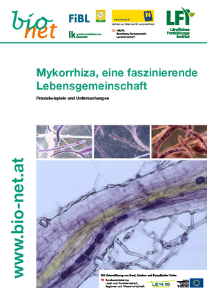 Mykorrhiza, eine faszinierende Lebensgemeinschaft
