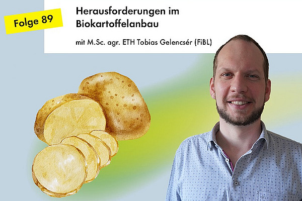 Portrait von Tobias Gelencsér, daneben eine Illustration von Kartoffeln.