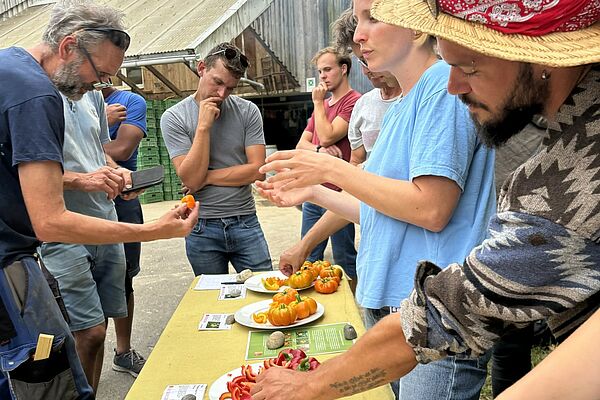 7 Menschen stehen um einen Tisch, auf dem verschieden farbige Paprikas zur Degustation ausgelegt sind.