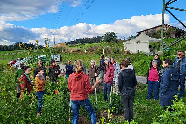 Eine Gruppe von Menschen stehen auf einem Blumenfeld neben einer Strasse. Es hat grosse Sonnenblumen.