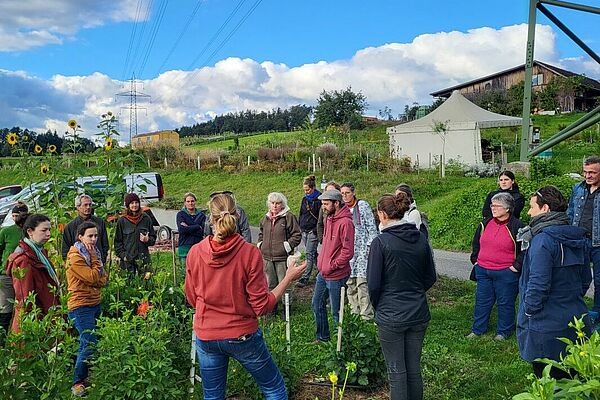 Eine Gruppe von Menschen steht auf einem Blumenfeld neben einer Strasse. Es hat grosse Sonnenblumen.