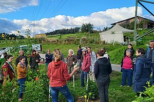 Eine Gruppe von Menschen steht auf einem Blumenfeld neben einer Strasse. Es hat grosse Sonnenblumen.