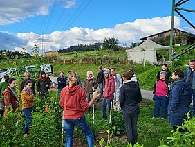 Eine Gruppe von Menschen steht auf einem Blumenfeld neben einer Strasse. Es hat grosse Sonnenblumen.